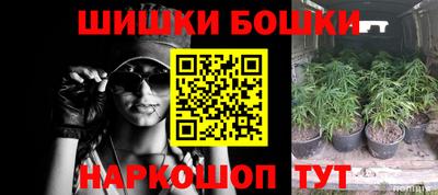 дживик Лесосибирск