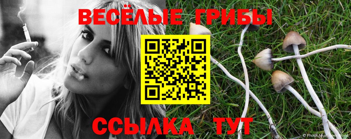 Югорск  Псилоцибиновые грибы ЛСД  Галлюциногенные грибы мицелий  Вход с VPN 