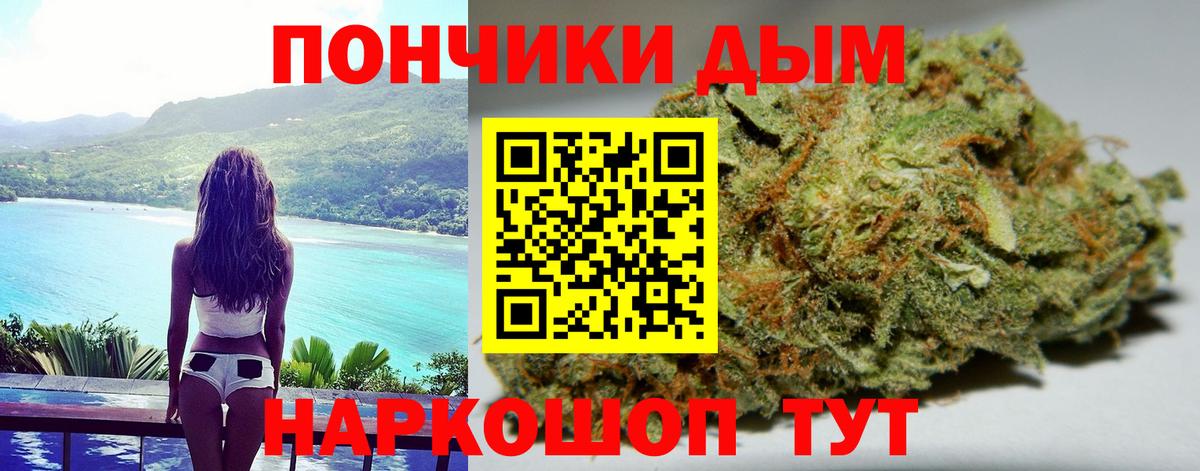 Конопля гибрид Югорск